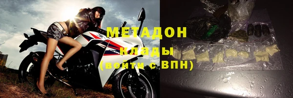 стаф Каменногорск