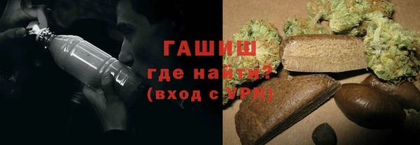 стаф Каменногорск