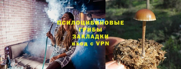 apvp Саяногорск