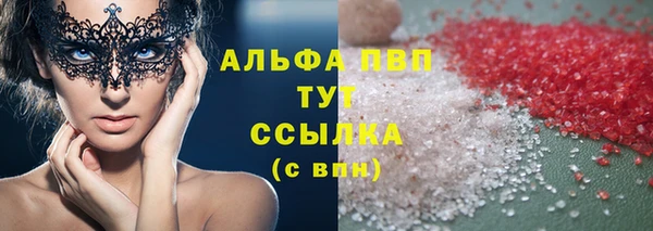 стаф Каменногорск